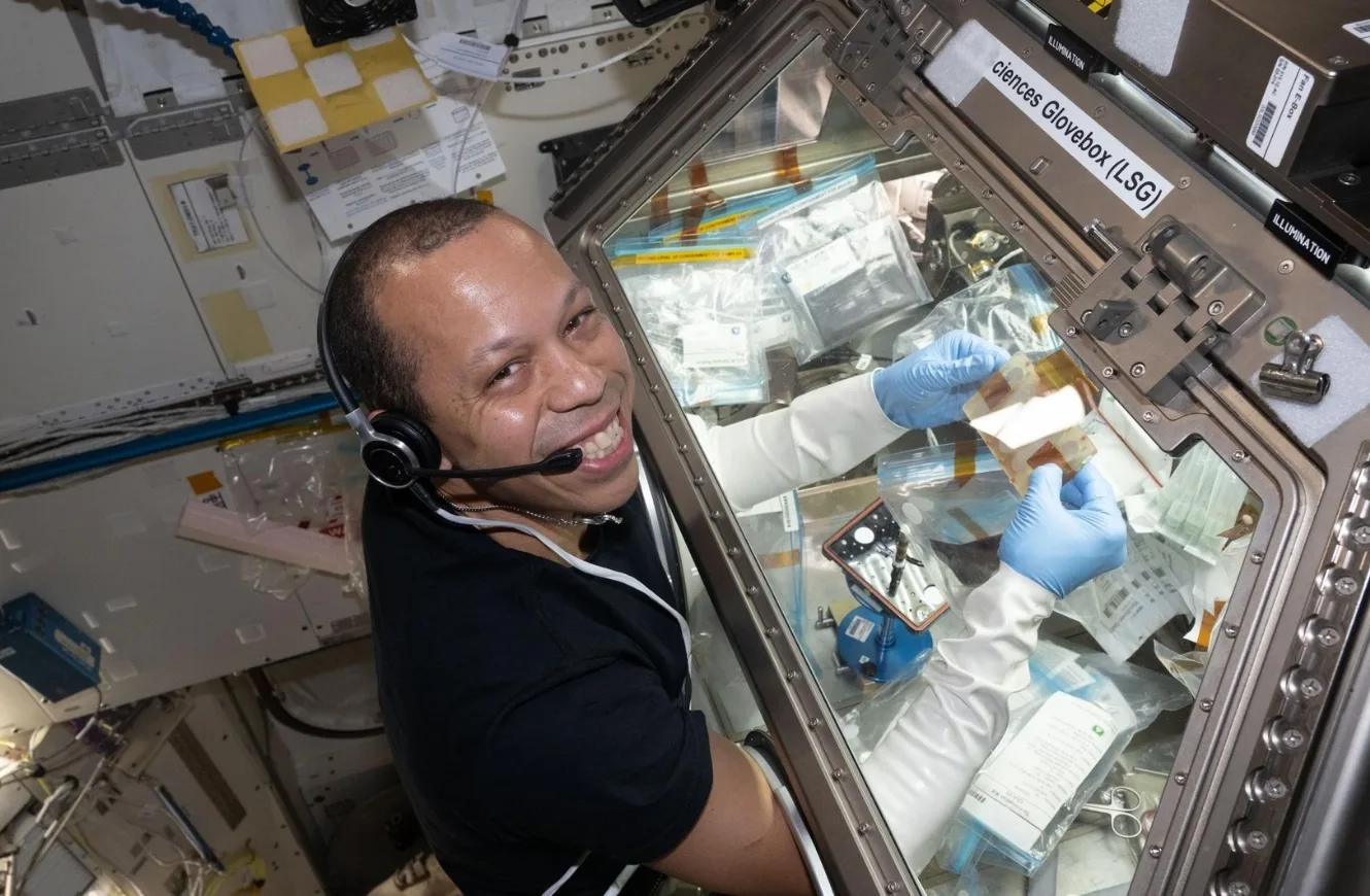 El astronauta de la NASA e ingeniero de vuelo de la Expedición 74, Chris Williams, procesa de manera segura muestras de un patógeno bacteriano dentro de la caja de guantes para ciencias de la vida del módulo de laboratorio Kibo. Crédito: NASA.