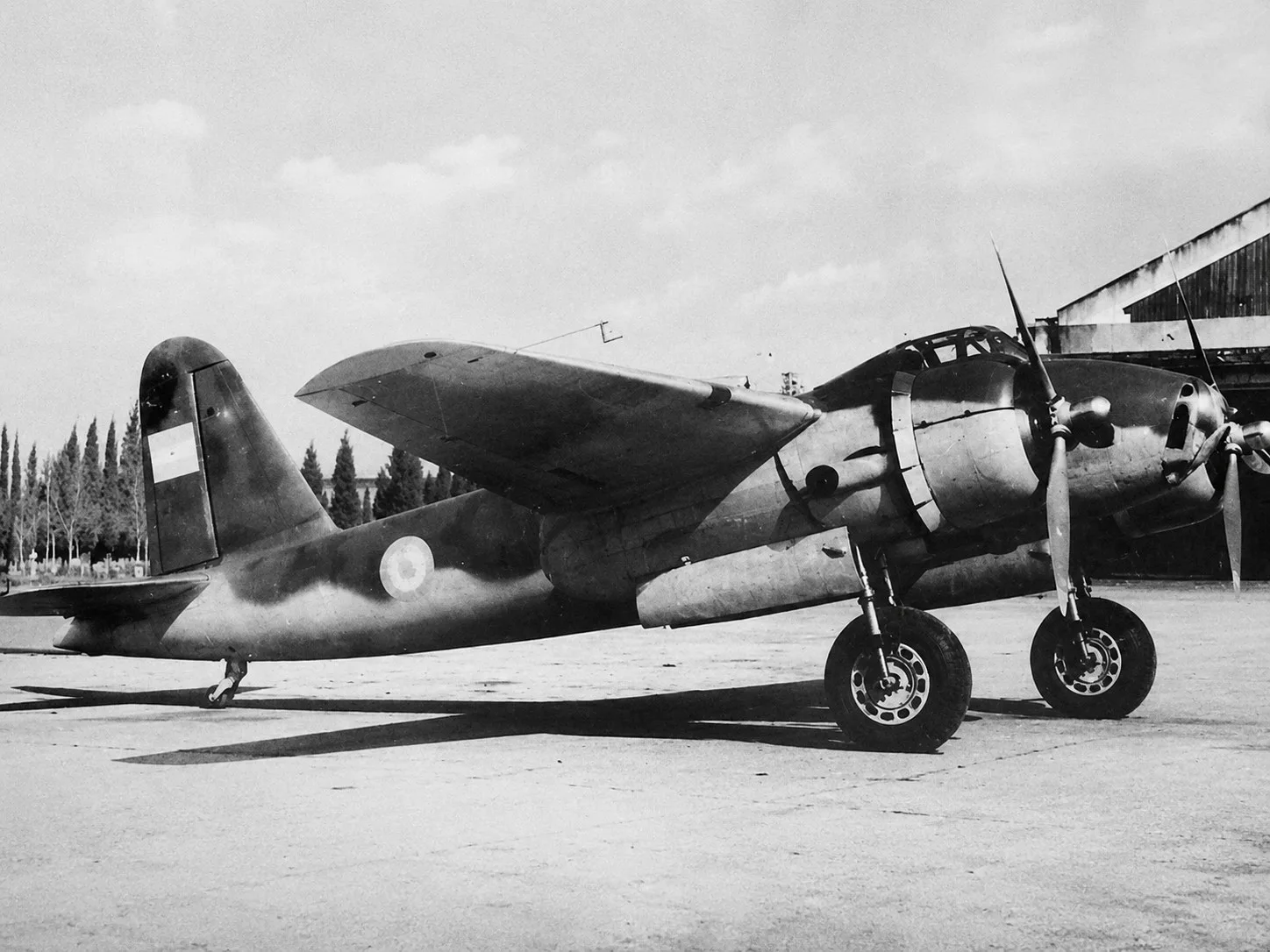 El AM-1 Tábano era un vehículo aéreo teledirigido, no tripulado, diseñado para lanzarse desde un avión. Durante los ensayos realizados en 1950, se lanzó desde un avión Calquín.