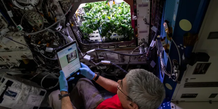 Brasil impulsa la agricultura espacial como nueva línea estratégica de investigación.