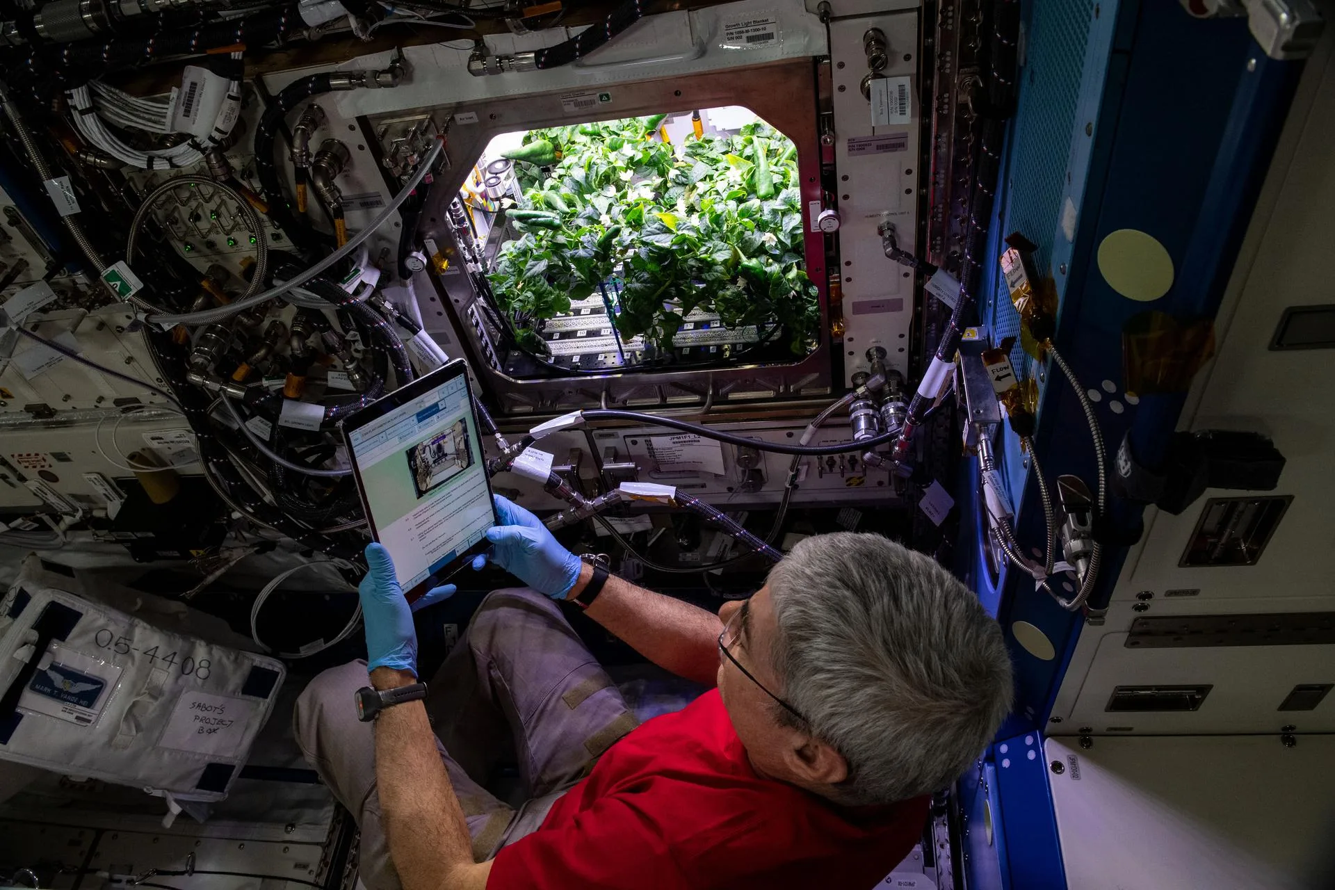 Brasil impulsa la agricultura espacial como nueva línea estratégica de investigación.