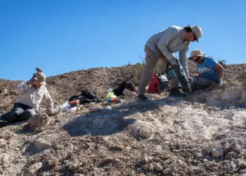 Científicos argentinos descubren en Talampaya un dinosaurio depredador que vivió hace 237 millones de años.