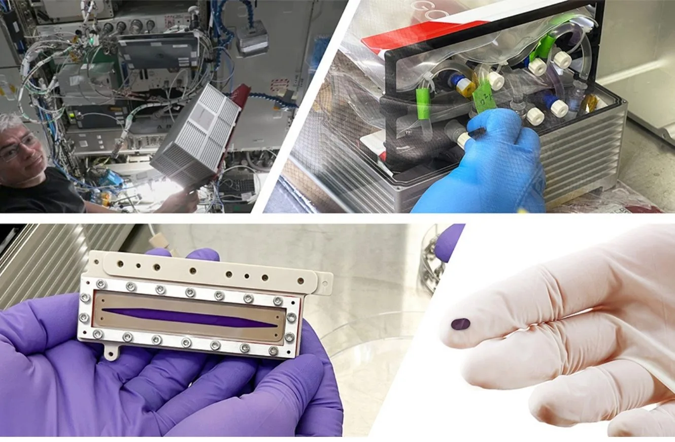 Lambdavision y Spacetango CubeLab en el Laboratorio Nacional de la Estación Espacial Internacional. Interior del CubeLab que contiene hardware optimizado y automatizado para el desarrollo de la retina artificial de Lambdavision por deposición capa a capa en microgravedad. Cámara de desarrollo de película delgada de retina artificial. Mano enguantada que muestra la retina artificial de Lambdavision. Crédito: NASA, Spacetango y Lambdavision.