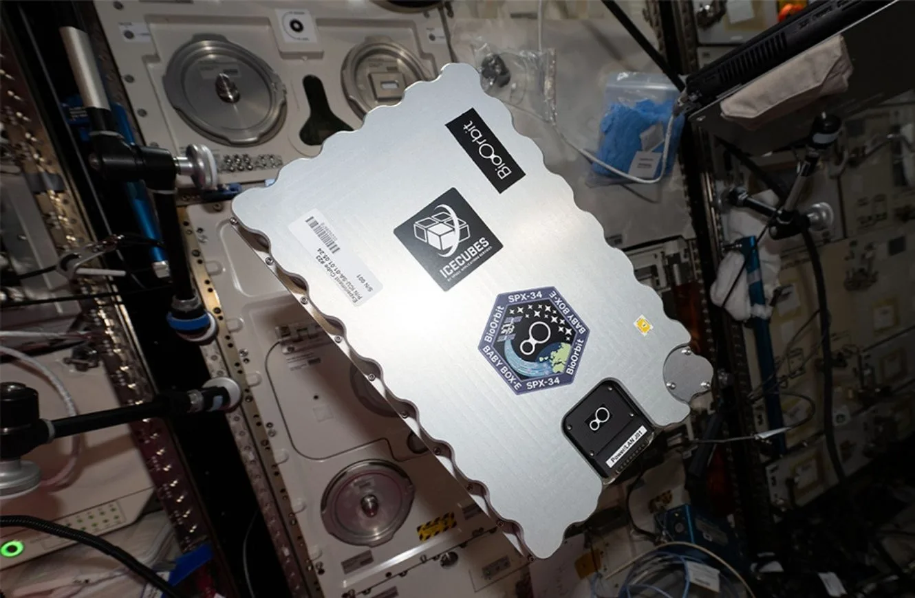 Fotografía del BOX de BioOrbit. Crédito: ESA/NASA – S. Adenot.