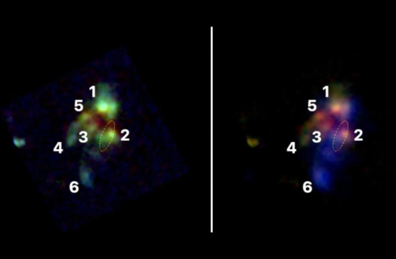 A la izquierda, en tonalidad verde, las galaxias detectadas. A la derecha, las estructuras de gas en color azul. La número 2 es la radiogalaxia identificada. Crédito: JWST. galaxia primitiva