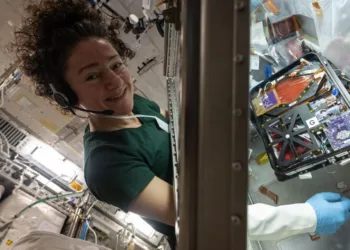 La astronauta de la NASA Jessica Meir instala equipos de investigación dentro de la caja de guantes para ciencias biológicas del módulo de laboratorio Kibo para aprender a fabricar y comercializar terapias diseñadas en el espacio para diversas enfermedades. Crédito: NASA.