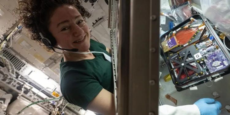 La astronauta de la NASA Jessica Meir instala equipos de investigación dentro de la caja de guantes para ciencias biológicas del módulo de laboratorio Kibo para aprender a fabricar y comercializar terapias diseñadas en el espacio para diversas enfermedades. Crédito: NASA.