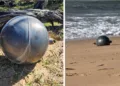 Imagen de las esferas metálicas halladas en Forrest Beach.