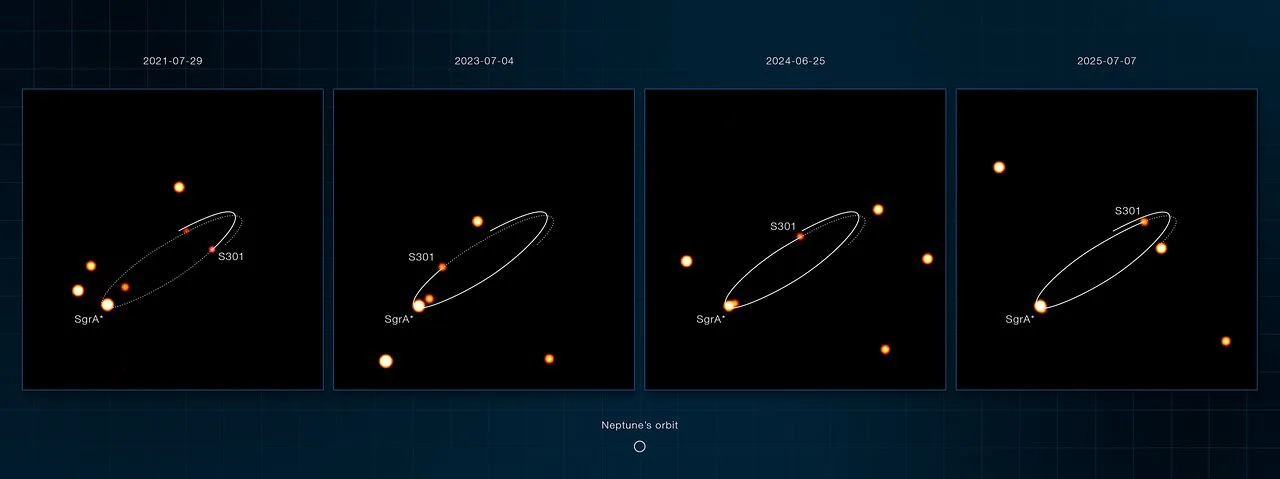 Esta secuencia de imágenes, tomadas con el instrumento GRAVITY del Interferómetro del Very Large Telescope (VLTI) del ESO, muestra varias estrellas orbitando Sagitario A*, el agujero negro supermasivo en el centro de nuestra galaxia. Recientemente se descubrió que una de estas estrellas, conocida como S301, pasa mucho más cerca del agujero negro que cualquier otra estrella conocida. S301 orbita Sagitario A* cada 8,7 años. En su punto más cercano —similar a la distancia entre el Sol y Saturno— la estrella se mueve a más del 8% de la velocidad de la luz. El tamaño de la órbita de Neptuno se muestra como referencia. S301 pasa tan cerca de Sagitario A* que su órbita podría verse afectada por la rotación del agujero negro, que distorsiona el espacio-tiempo a su alrededor. El efecto es pequeño, pero podría medirse en los próximos años con el VLTI y el Telescopio Extremadamente Grande (ELT) del ESO, actualmente en construcción. La órbita de S301 se muestra aquí con una curva elíptica. En cada fotograma, la curva continua muestra la trayectoria que la estrella ya ha recorrido hasta ese punto, mientras que la curva discontinua marca la trayectoria que seguirá a continuación.