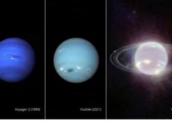 Imagen de las distintas fotografías tomadas por el telescopio James Webb y el Hubble de Neptuno.