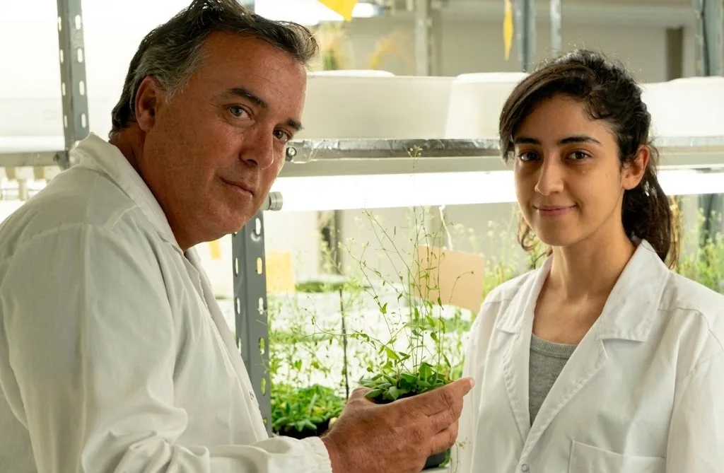plantas toleran sequía