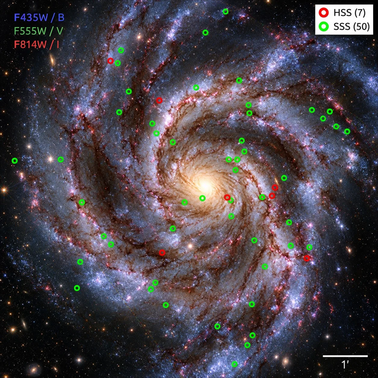 Imagen de una región de la galaxia M101, creada a partir de observaciones del telescopio espacial Hubble con los instrumentos ACS y WFC3/UVIS. Crédito: Nature/ Mustafa Muhibullah, Jimmy A. Irwin & Rosanne Di Stefano.