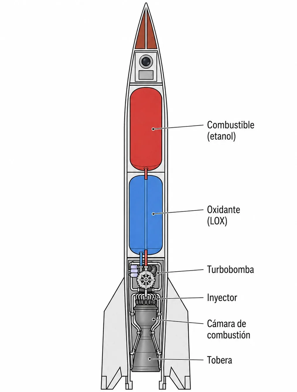 Esquema elemental de un cohete de combustible líquido. Se observan los tanques de combustible y oxidante y el sistema de propulsión: turbobomba, inyectores, cámara de combustión y tobera. Esta arquitectura es esencialmente la misma para un motor impulsado por combustible convencional y por biocombustible.