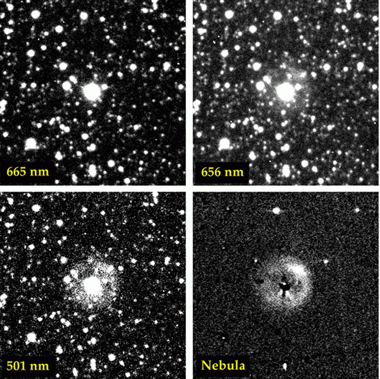 En la imagen de superior izquierda se observa el Objeto de Sakurai en luz visible, mostrando principalmente la luz de la propia estrella.
En la imagen superior derecha se observa la misma región observada en hidrógeno H-alfa, donde comienza a distinguirse el gas de la nebulosa que rodea a la estrella.
En la imagen inferior izquierda se tiene una observación en luz emitida por oxígeno ionizado, que permite ver con mayor claridad la estructura de la nebulosa. Y en la image inferior derecha se tiene una imagen procesada para eliminar la luz de las estrellas y destacar únicamente la nebulosa alrededor del Objeto de Sakurai, que presenta una forma circular de unos 32 segundos de arco de diámetro.