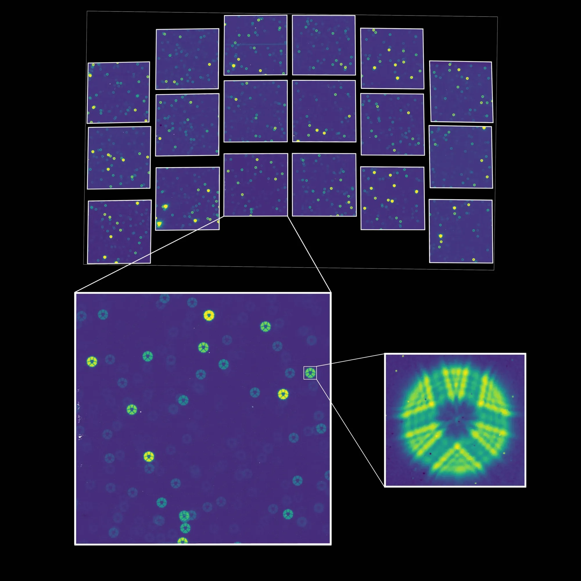 Esta imagen de prueba captura los primeros fotones de luz estelar que llegan al Instrumento de Campo Amplio del Telescopio Espacial Nancy Grace Roman de la NASA. Se tomó como una evaluación inicial del rendimiento con la configuración de lanzamiento, lejos del enfoque óptimo. El instrumento científico principal de Roman abrió sus ojos por primera vez, revelando un mar de estrellas desenfocadas, cada una extendida sobre miles de píxeles. El equipo pronto activará el sistema de guiado fino del instrumento, lo que permitirá a Roman fijar objetivos. Las imágenes científicas de Roman serán mucho más nítidas. Crédito: Centro de Vuelos Espaciales Goddard de la NASA/ Tyler Desjardins (STScI).
