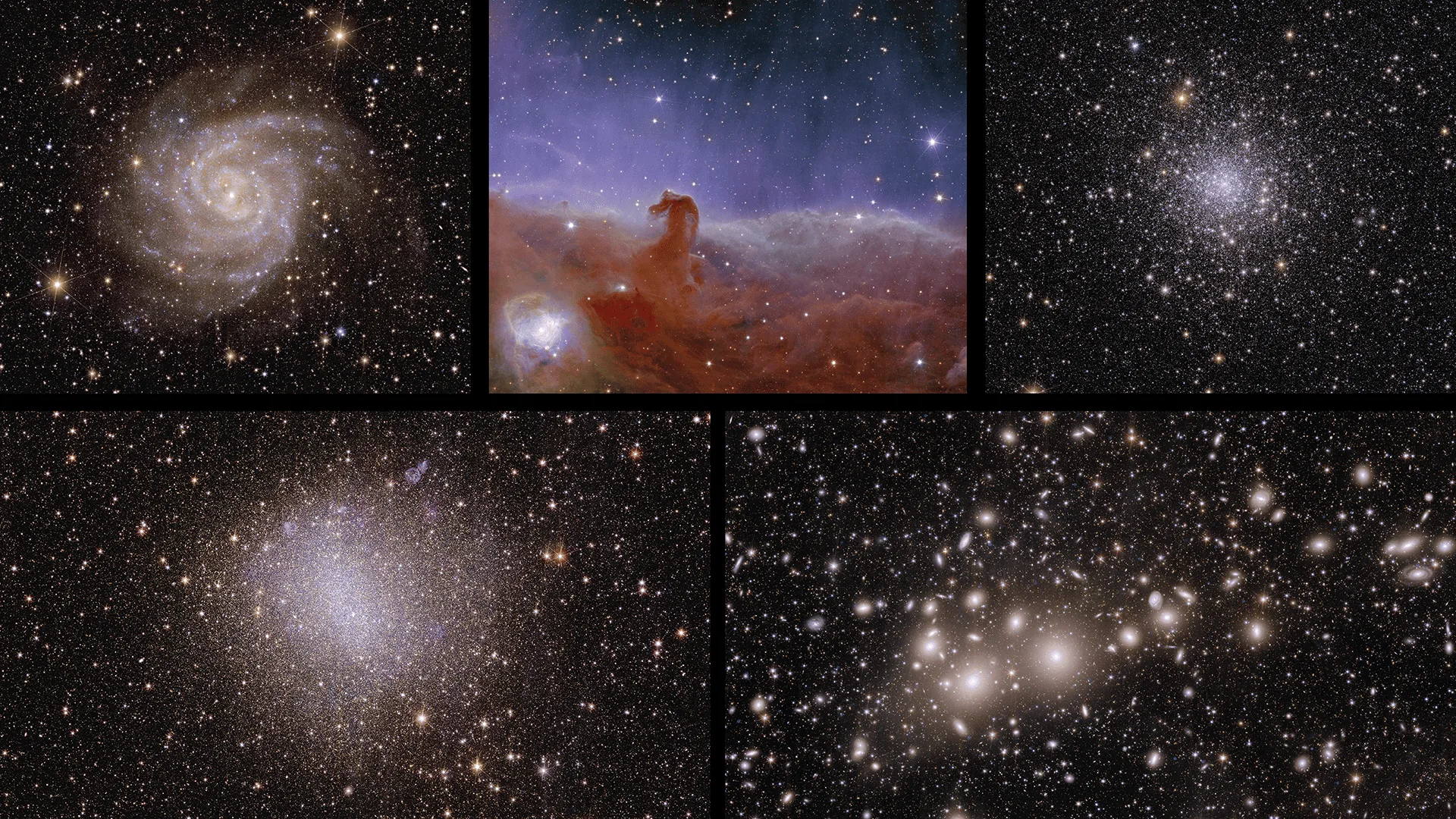 Las primeras imágenes del telescopio espacial Euclid de la Agencia Espacial Europea, publicadas en noviembre de 2023. Crédito: Agencia Espacial Europea (ESA).