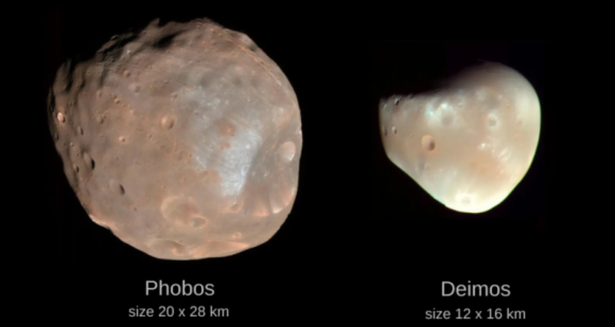 Fobos y Deimos, las dos pequeñas lunas de Marte.