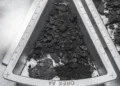 Uno de los contenedores que almacenan rocas y polvo que la misión OSIRIS-REx recuperó del asteroide Bennu. Crédito: NASA/ Erika Blumenfeld y Joseph Aebersold.